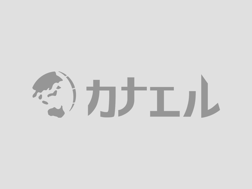 特定技能外国人が入国する際に必要な「ビザ」とは？雇用上のポイントを踏まえて解説