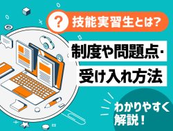 技能実習生とは？制度や問題点・受け入れ方法をわかりやすく解説