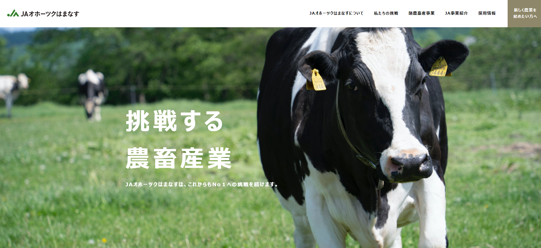 オホーツクはまなす農業協同組合