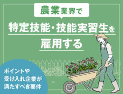 農業業界で特定技能・技能実習生を雇用する場合のポイントや受け入れ企業が満たすべき要件等を解説