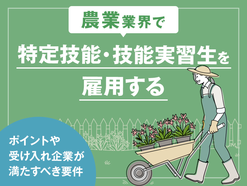 農業業界で特定技能・技能実習生を雇用する場合のポイントや受け入れ企業が満たすべき要件等を解説